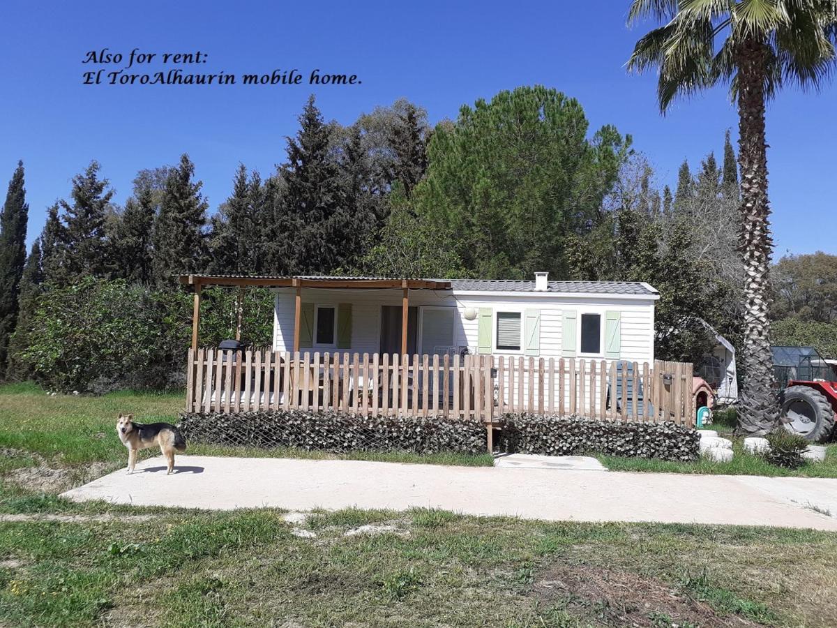 Appartement El Toro Alhaurin Alhaurín el Grande Exteriör bild